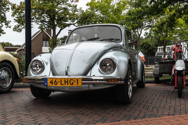 DSC00494